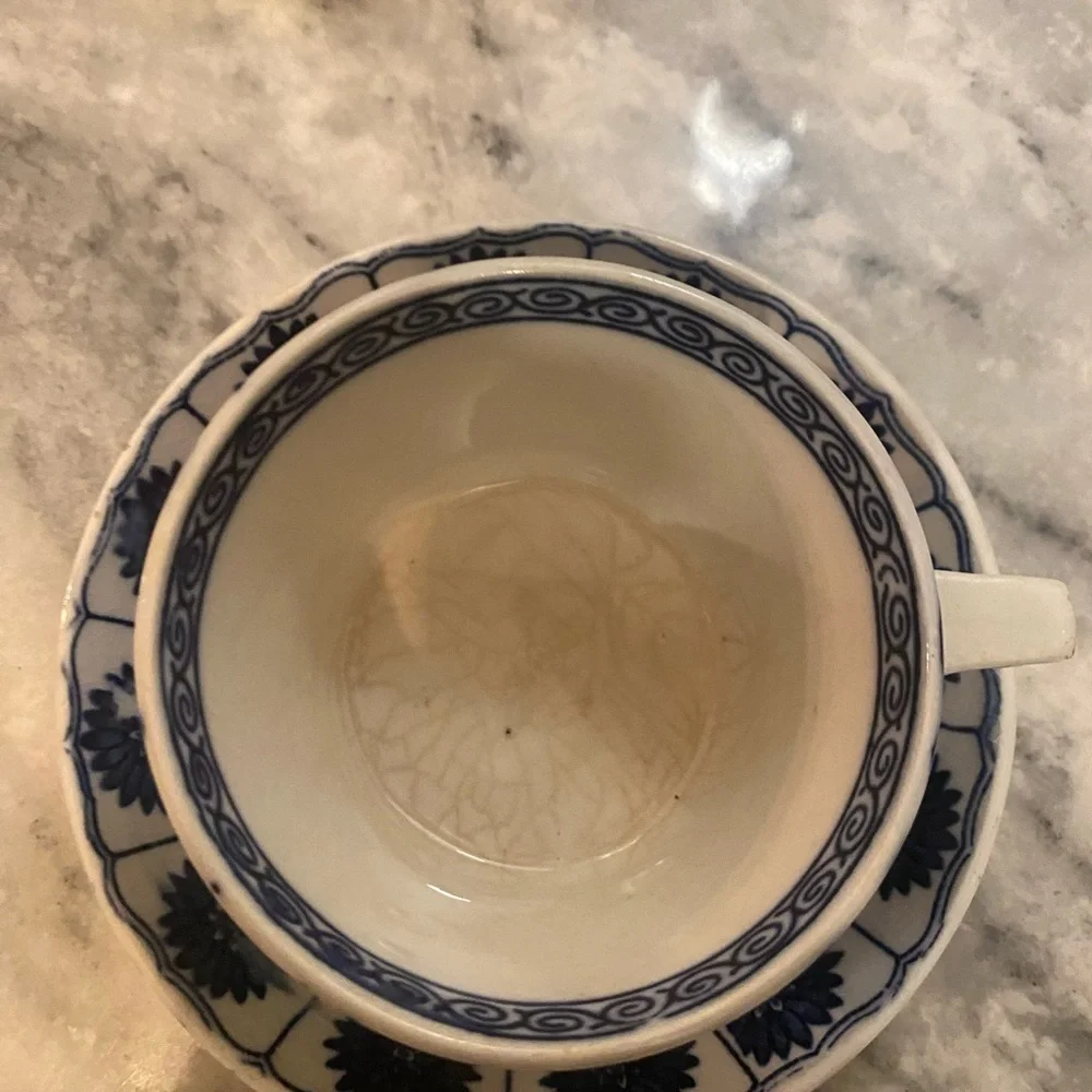 Antique Arita/Seto Export Porcelain Floral Panel Motif Cup & Saucer